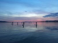 Sonnenuntergang1 SUP Paddle Relax Super Bodensee Hegne Berenice Standuppaddle